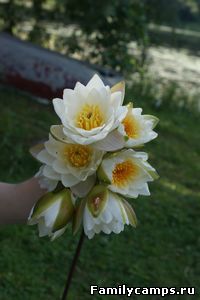 Отель